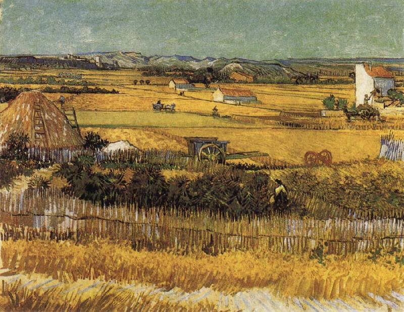 Vincent Van Gogh Harvest at La Crau,with Montmajour in the Background oil painting picture